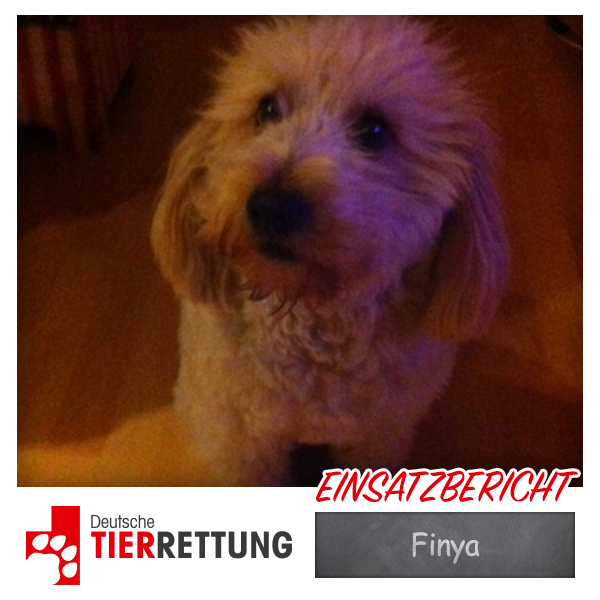 DTR Einsatz: Finya in Oberhausen