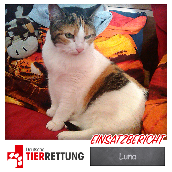 DTR Einsatz: Luna in Krefeld