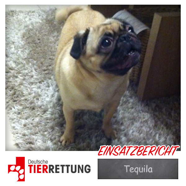DTR Einsatz: Tequila in Bottrop
