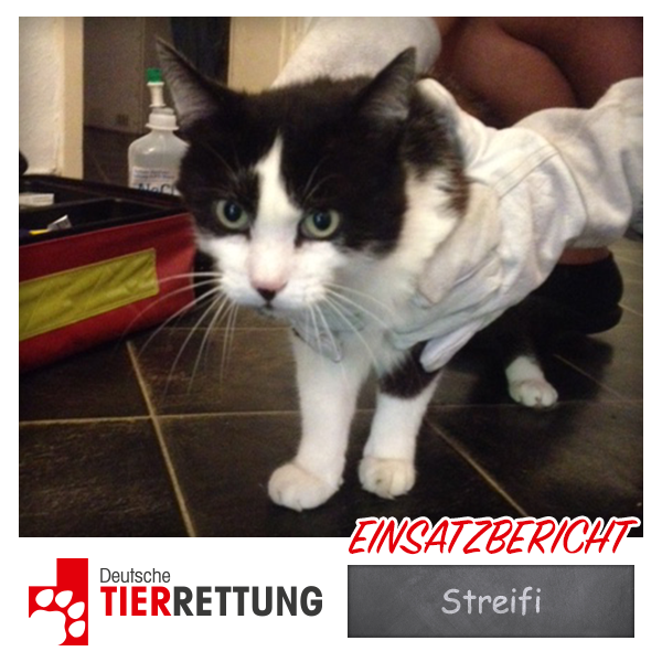 DTR Einsatz: Streifi in Bochum