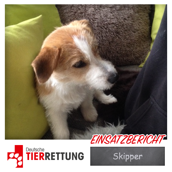 DTR Einsatz: Skipper in Oberhausen