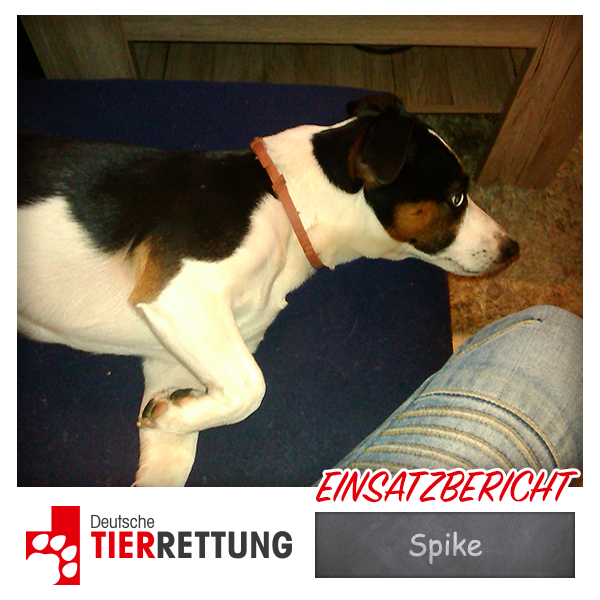 DTR Einsatz: Spike