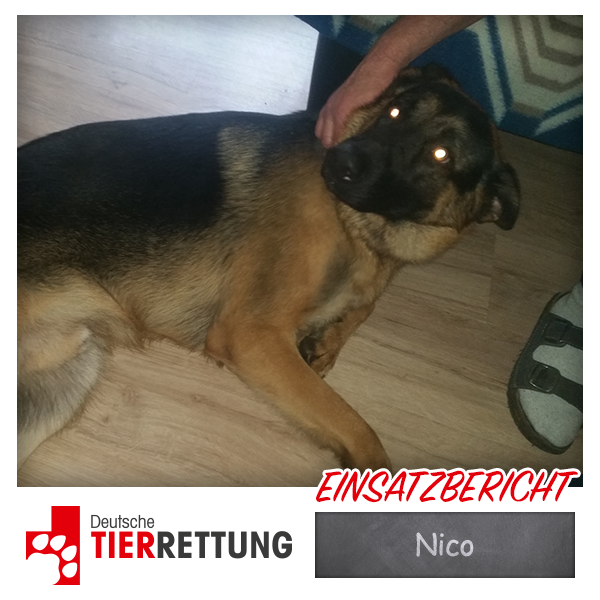 DTR Einsatz: Nico in Krefeld