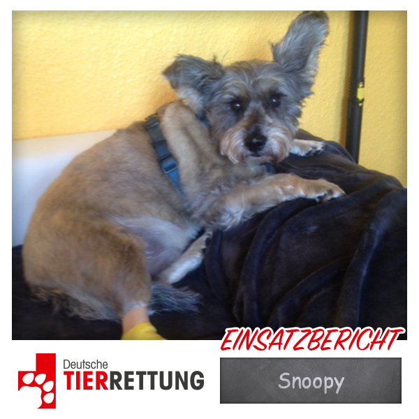 DTR Einsatz: Snoopy in Herne