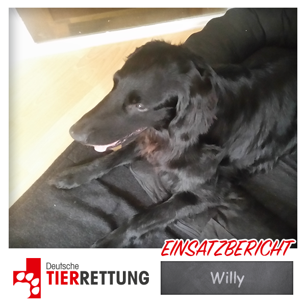 DTR Einsatz: Willy in Krefeld