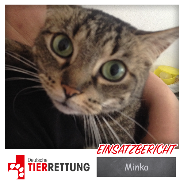 DTR Einsatz: Minka in Essen