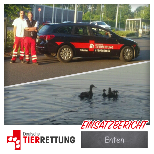 DTR Einsatz: Enten in der JVA Ratingen
