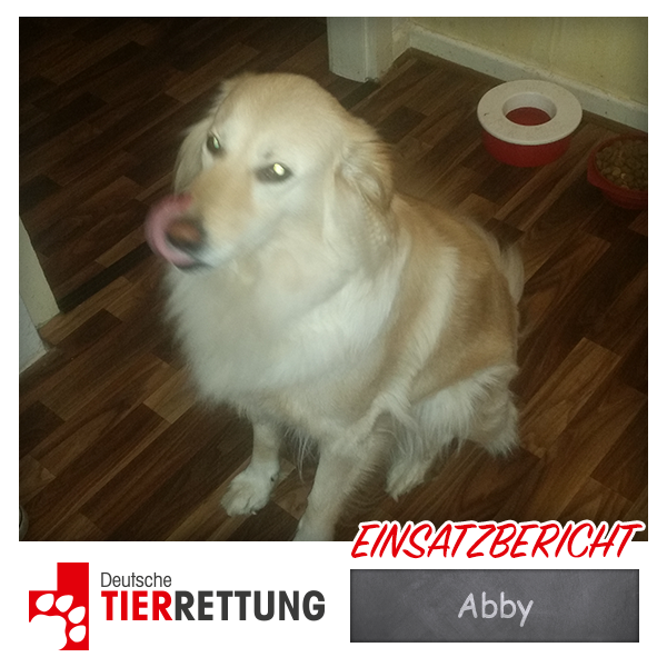 DTR Einsatz: Abby in Duisburg