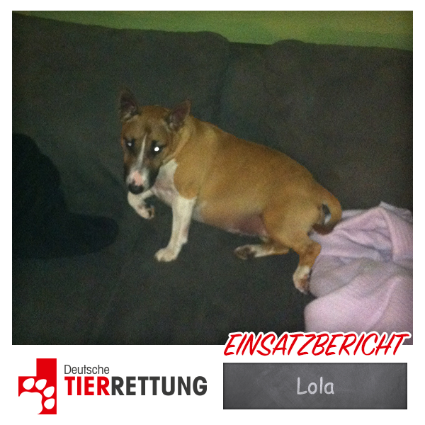 DTR Einsatz: Lola in Gelsenkirchen
