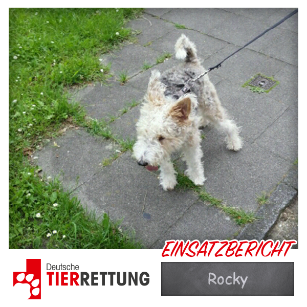 DTR Einsatz: Rocky in Herne