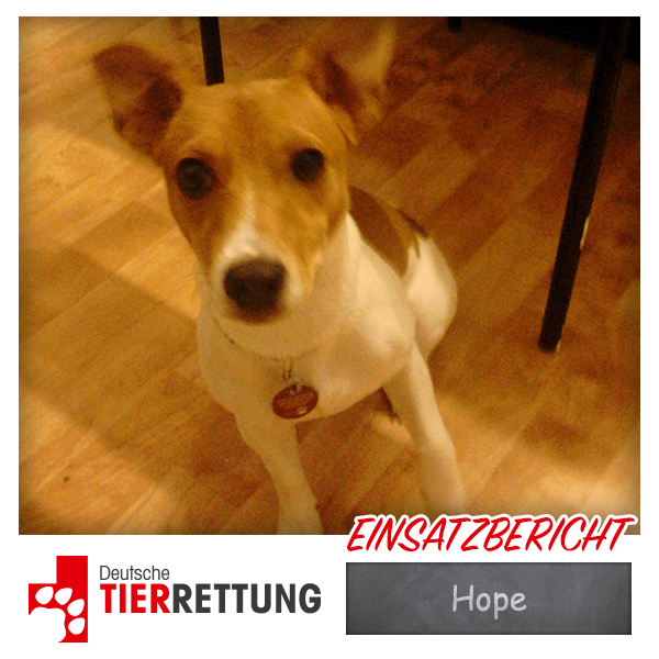DTR Einsatz: Hope in Düsseldorf