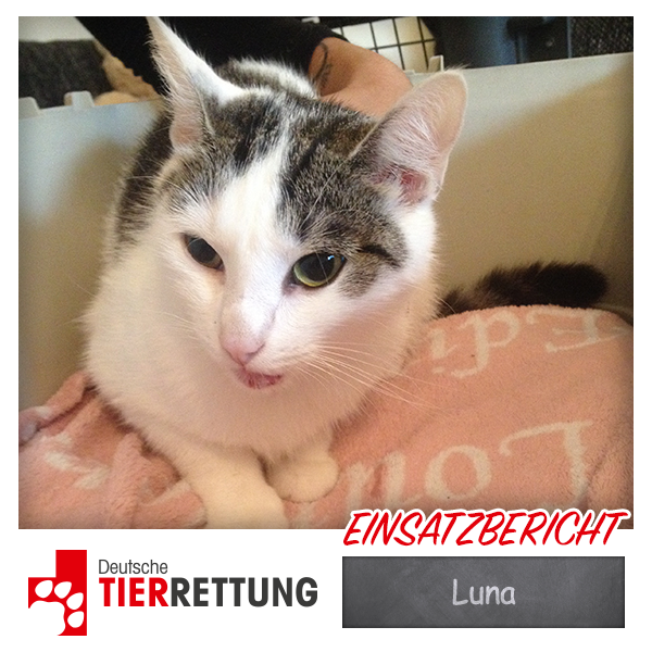 DTR Einsatz: Luna in Dinslaken
