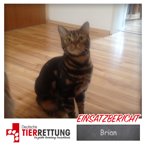 Tierrettung Einsatz: Brian in Gladbeck