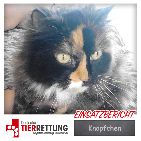 Tierrettung Einsatz: Knöpfchen in Essen
