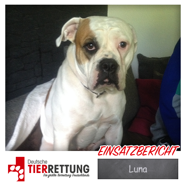 Tierrettung Einsatz: Luna in Duisburg
