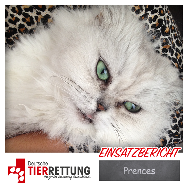 Tierrettung Einsatz: Prences in Castrop Rauxel