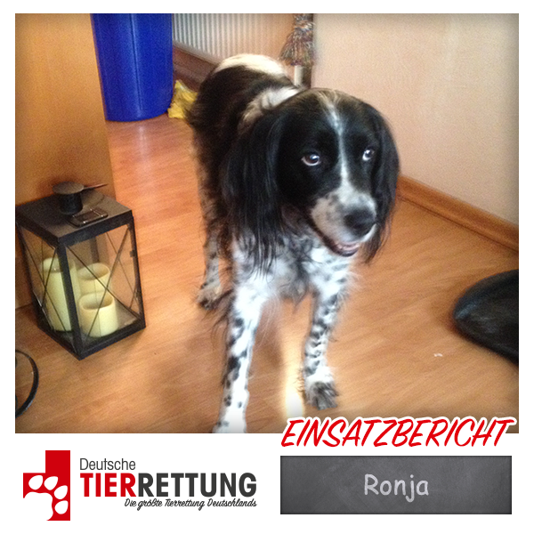 Tierrettung Einsatz: Ronja in Herne
