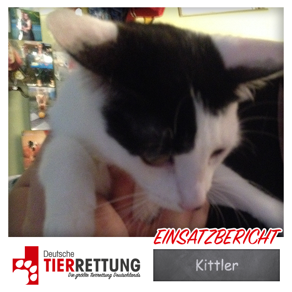 Tierrettung Einsatz: Kittler in Essen