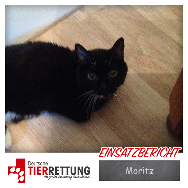 Tierrettung Einsatz: Moritz in Herne