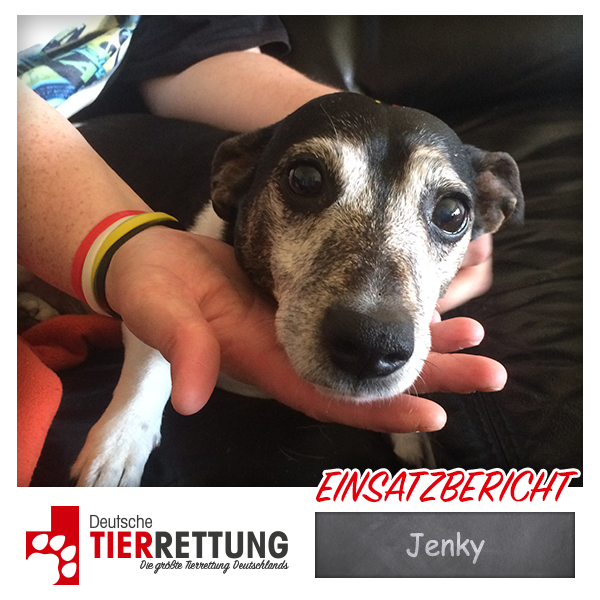 Tierrettung Einsatz: Jenky in Krefeld