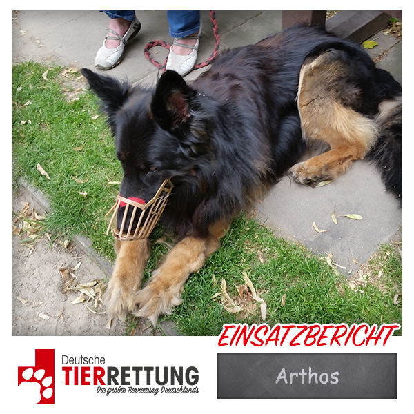 Tierrettung Einsatz: Arthos in Gelsenkirchen