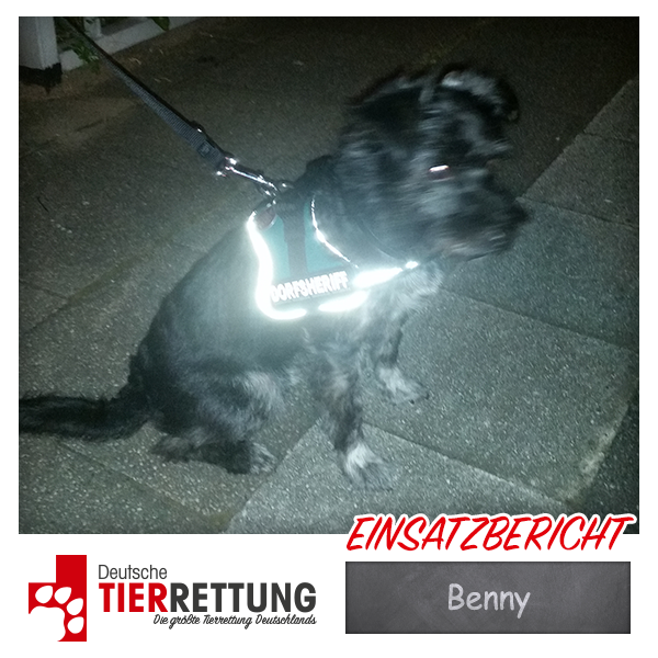 Tierrettung Einsatz: Benny in Essen