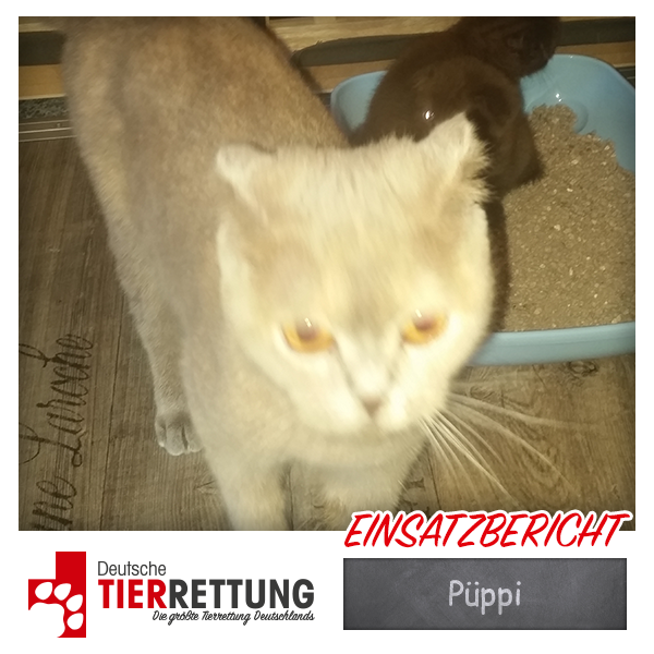 Tierrettung Einsatz: Püppi in Marl