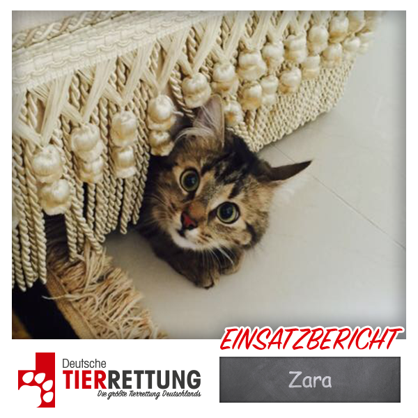 Tierrettung Einsatz: Zara in Dortmund