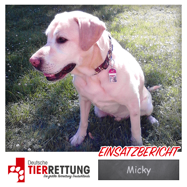 Tierrettung Einsatz: Micky in Duisburg