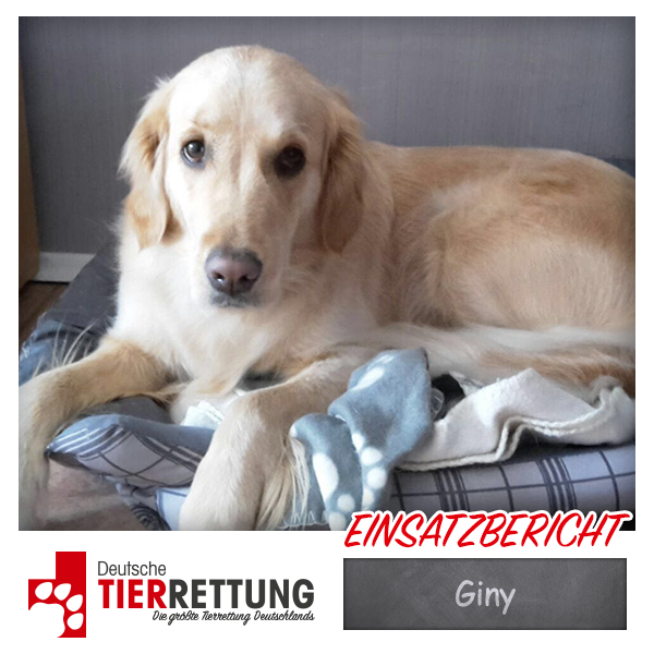 Tierrettung Einsatz: Giny in Oberhausen