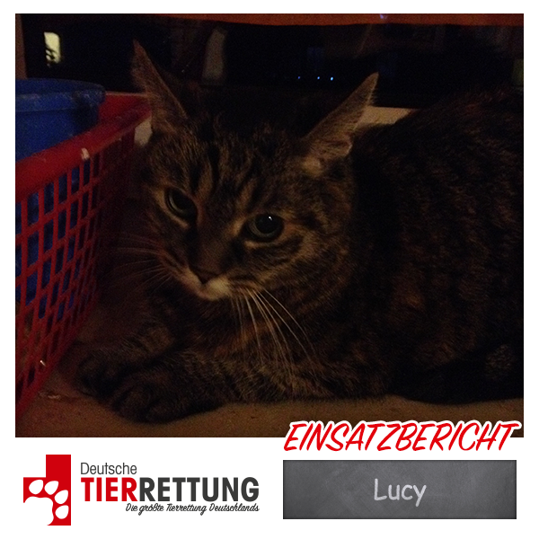 Tierrettung Einsatz: Lucy in Gelsenkirchen