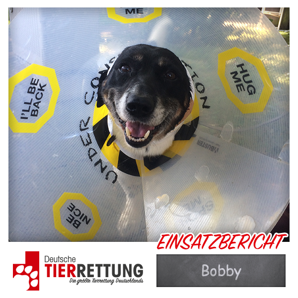 Tierrettung Einsatz: Bobby in Duisburg