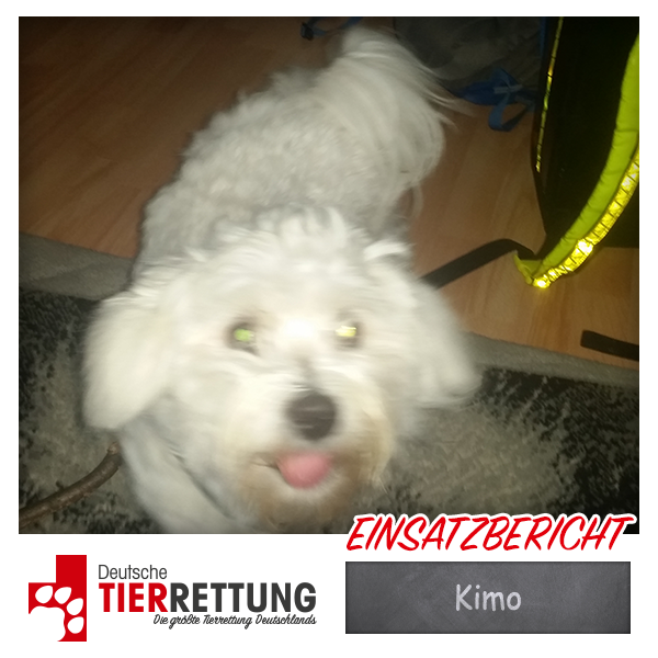 Tierrettung Einsatz: Kimo in Castrop-Rauxel