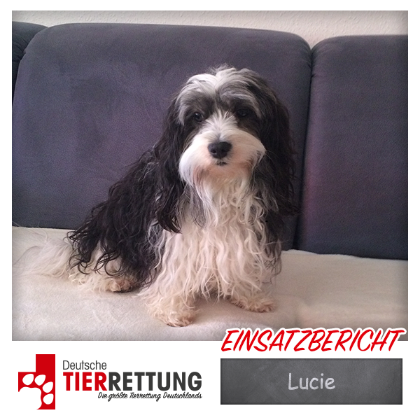 Tierrettung Einsatz: Lucie in Bottrop