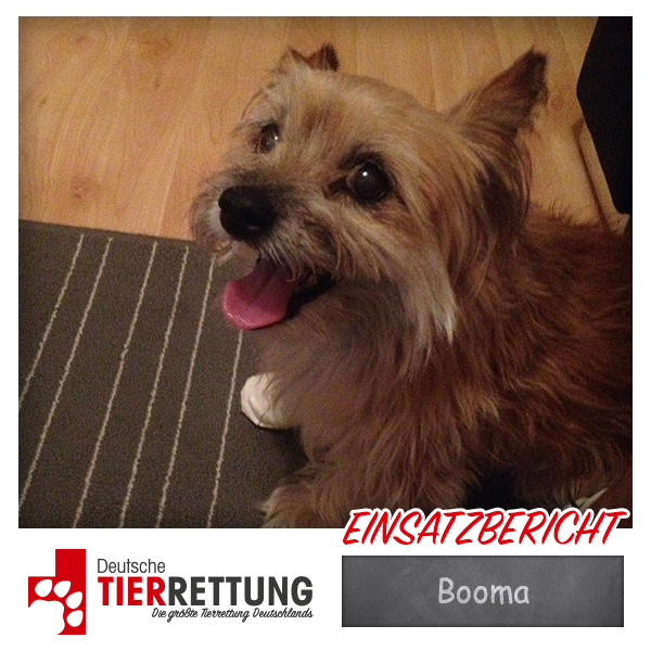 Tierrettung Einsatz: Booma in Essen