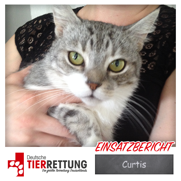 Tierrettung Einsatz: Curtis in Duisburg