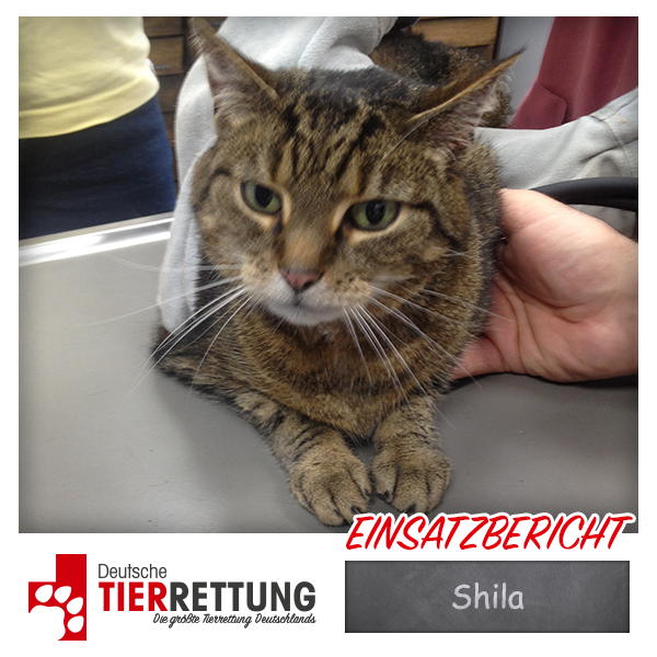 Tierrettung Einsatz: Shila in Gelsenkirchen