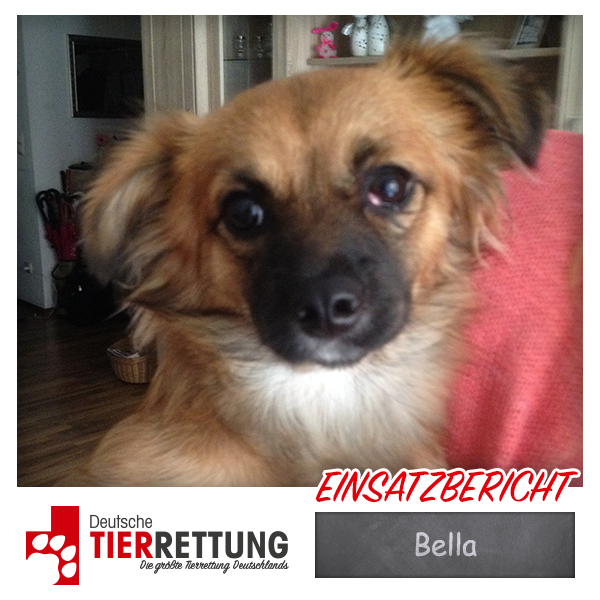 Tierrettung Einsatz: Bella in Witten