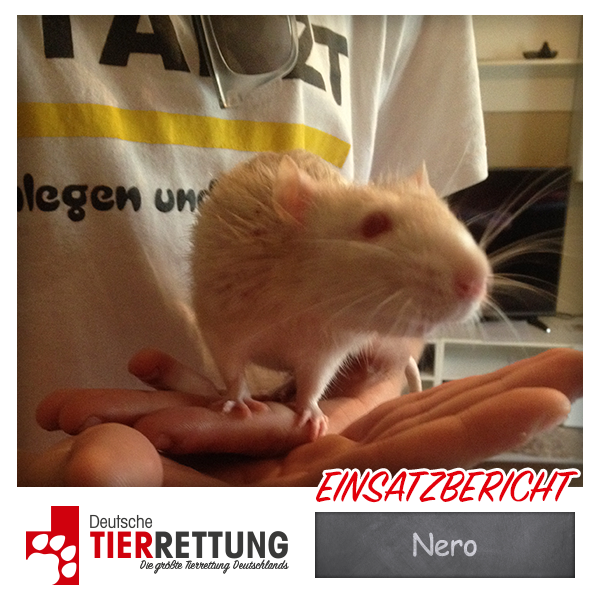 Tierrettung Einsatz: Nero in Castrop Rauxel