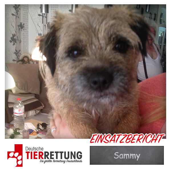 Tierrettung Einsatz: Sammy in Witten