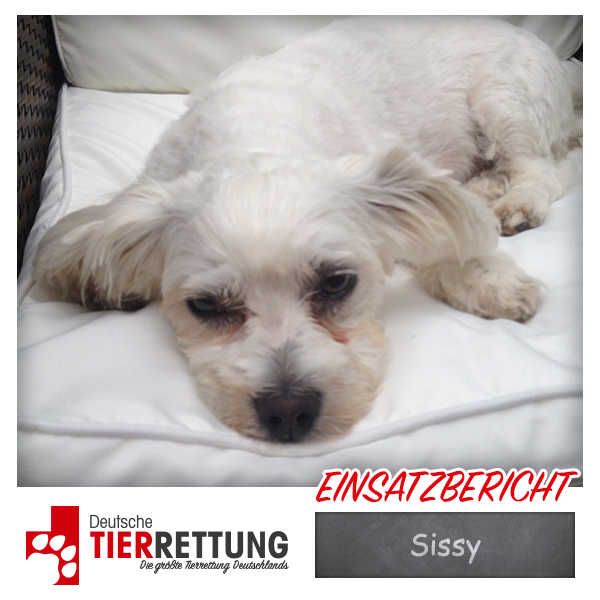 Tierrettung Einsatz: Sissy in Herne