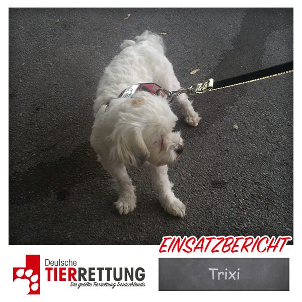 Tierrettung Einsatz: Trixi in Duisburg