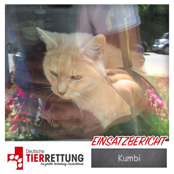 Tierrettung Einsatz: Kumbi in Krefeld
