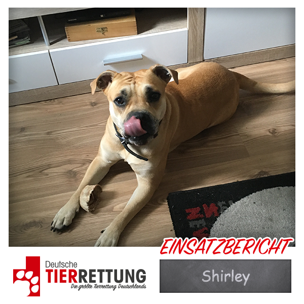 Tierrettung Einsatz: Shirley in Castrop-Rauxel