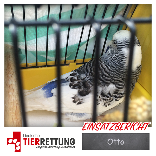 Tierrettung Einsatz: Otto in Duisburg