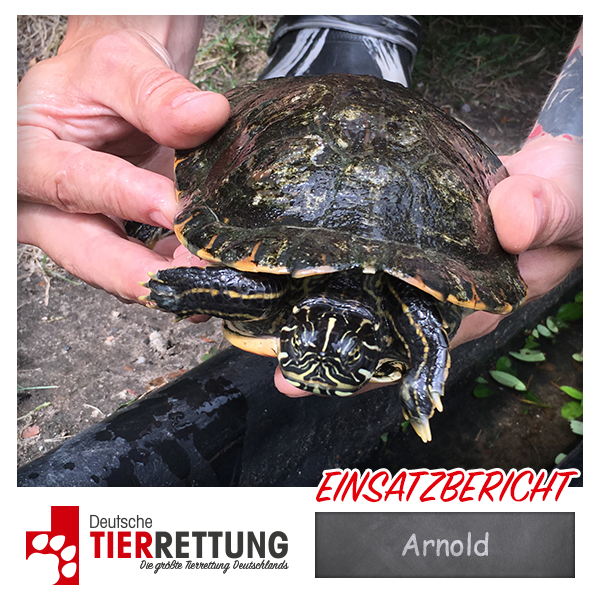 Tierrettung Einsatz: Arnold in Oberhausen