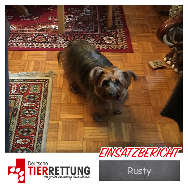 Tierrettung Einsatz: Rusty in Essen