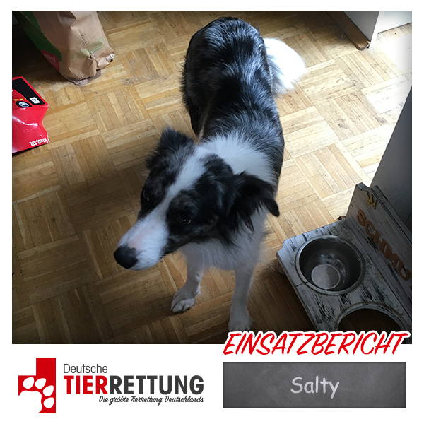 Tierrettung Einsatz: Salty in Recklinghausen