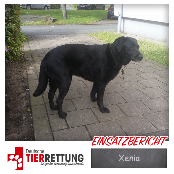 Tierrettung Einsatz: Xenia in Oberhausen