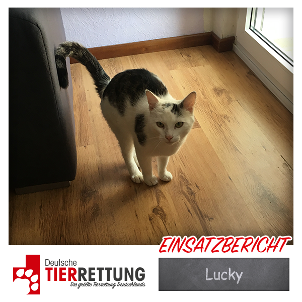 Tierrettung Einsatz: Lucky in Essen